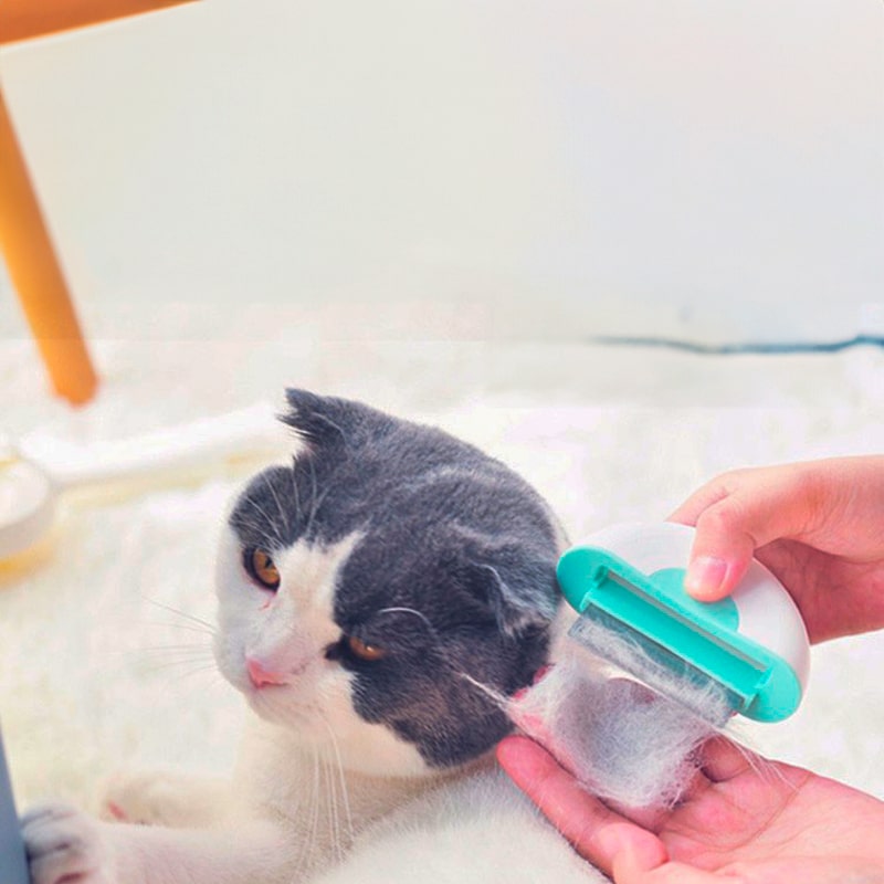 Cepillo Peine Portátil 2en1 Para Mascotas