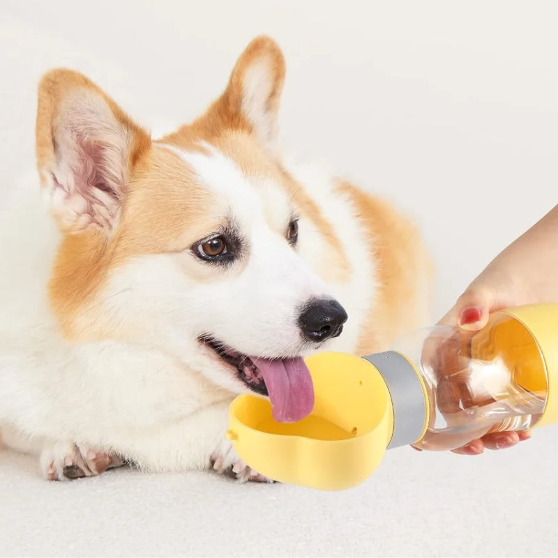 Termo Dispensador de Agua y Alimento Para Mascotas