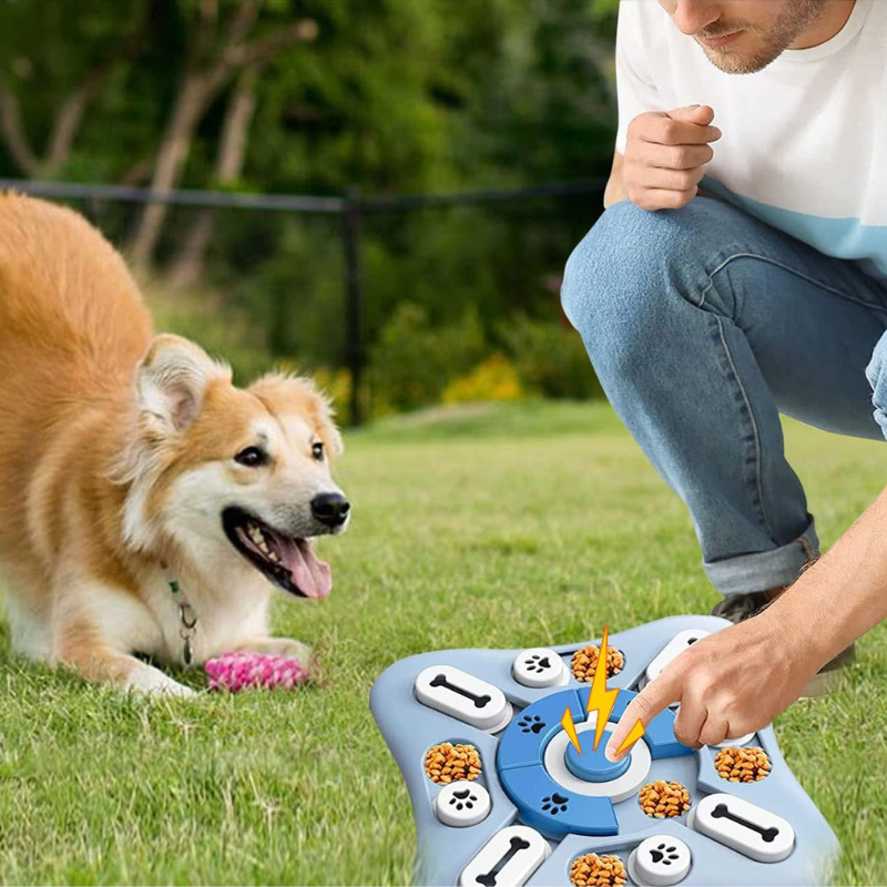 Juguete Interactivo para Mascotas